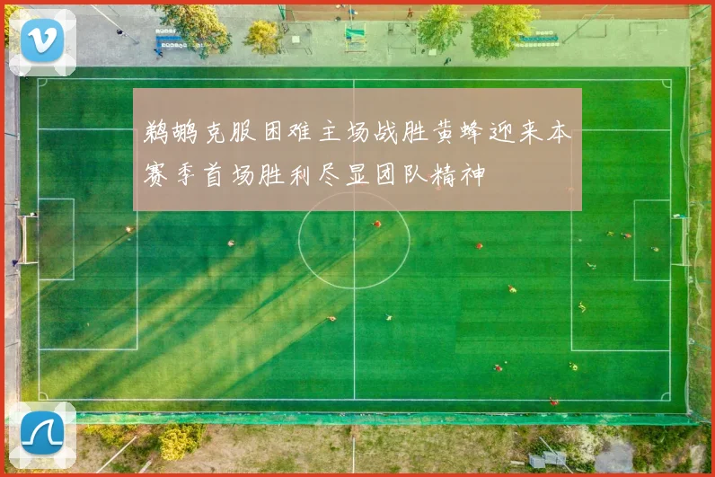 鹈鹕克服困难主场战胜黄蜂迎来本赛季首场胜利尽显团队精神