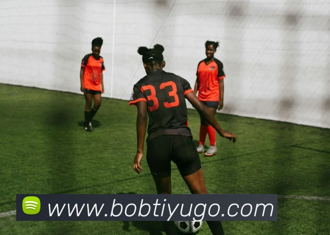 BOB体育平台生态图